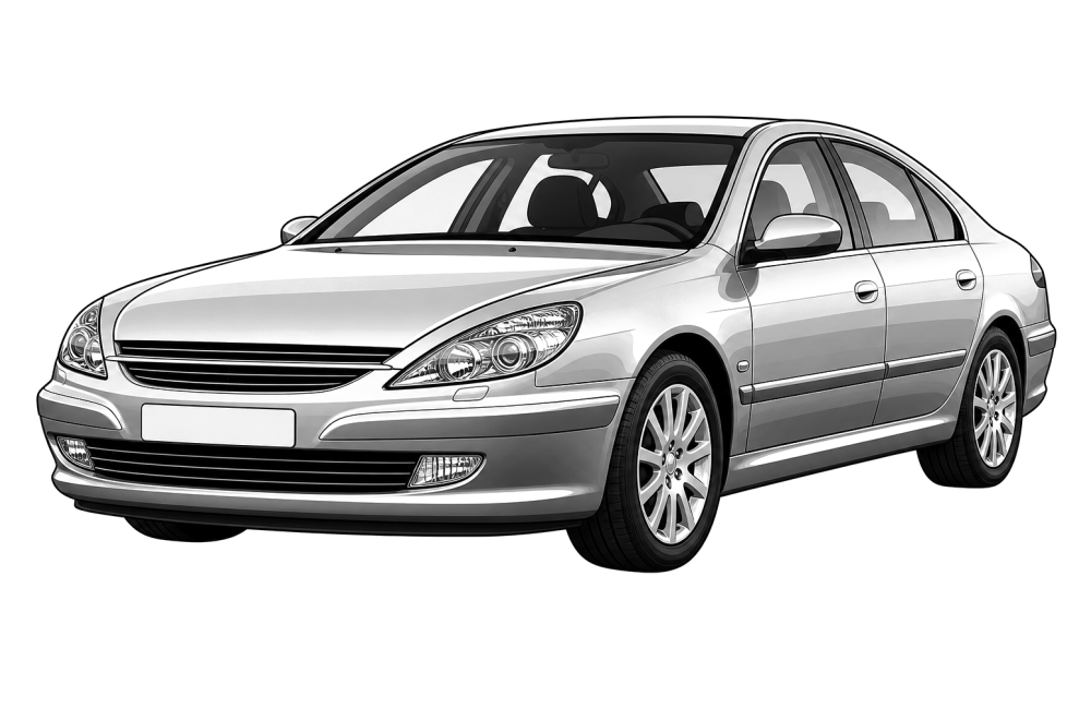 Peugeot 607 (2000 - 2010) 2.2 HDi 170 (170 HP / 125 kW) RaceChip