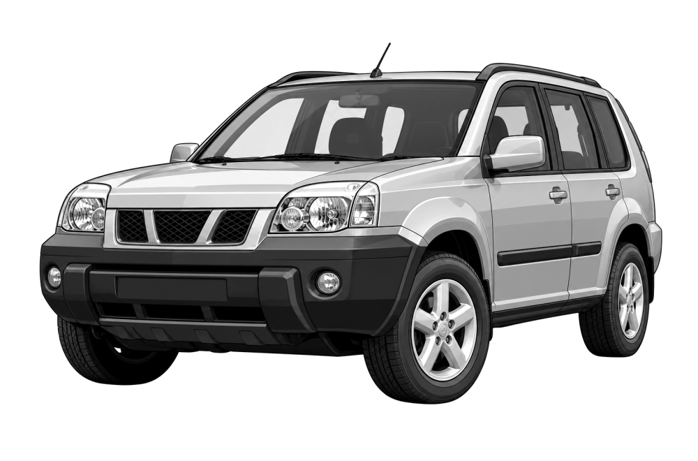 Nissan X-Trail (T30) (2001 - 2013) 2.2 Di (114 HP / 84 kW) RaceChip