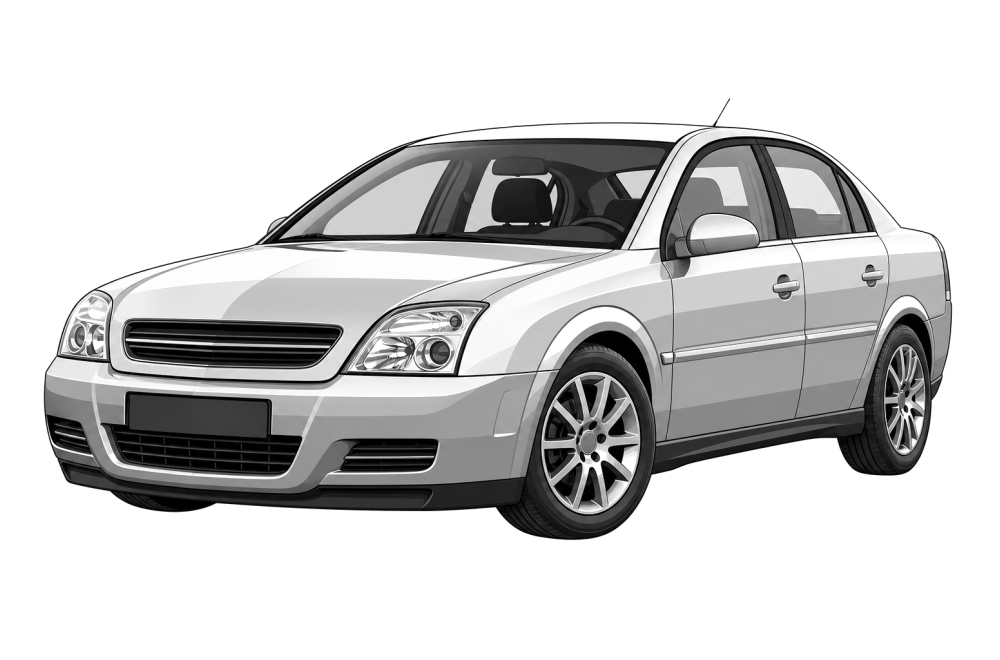Opel Vectra (C) (2002 - 2008) 1.9 CdTi (100 HP / 74 kW) RaceChip