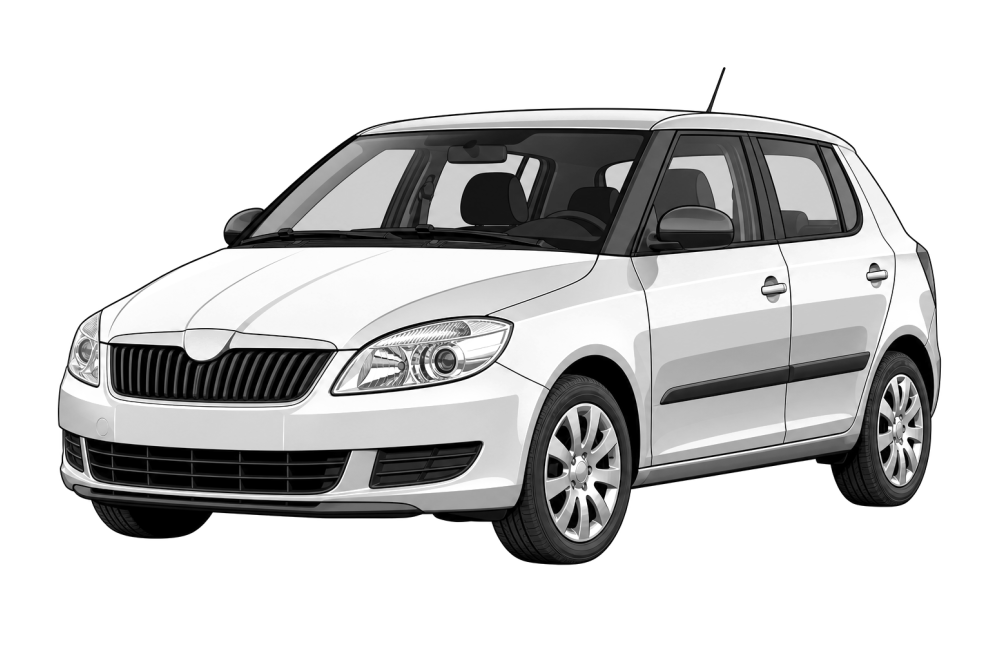 Skoda Fabia (6J) (2006 - 2014) 1.2 (60 HP / 44 kW) RaceChip