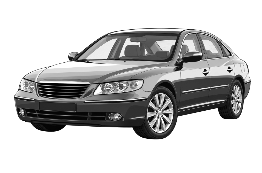 Hyundai Grandeur (TG) (2003 - 2011) 2.2 CRDi (155 HP / 114 kW) RaceChip