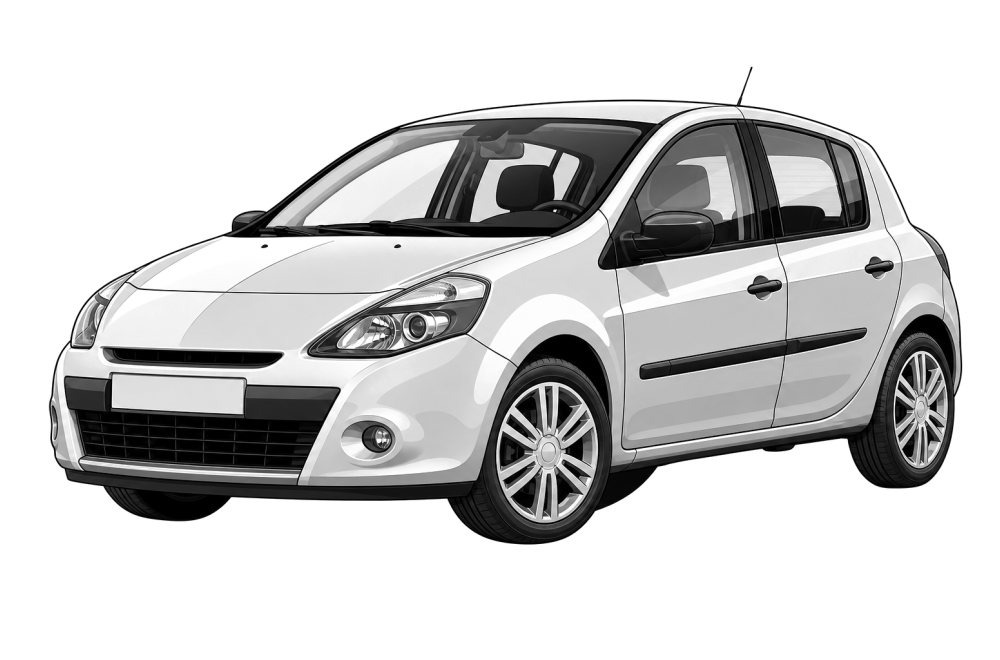 Renault Clio III (R) (2005 - 2013) 1.2 16V (75 HP / 55 kW) RaceChip