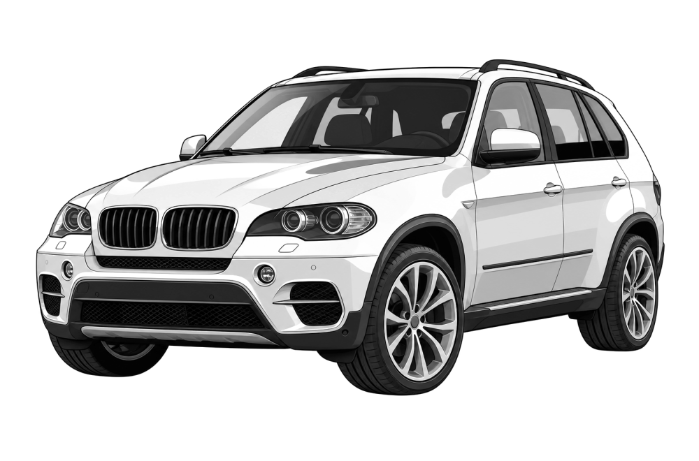 BMW X5 (E70) (2006 - 2013) 30d (211 HP / 155 kW) RaceChip