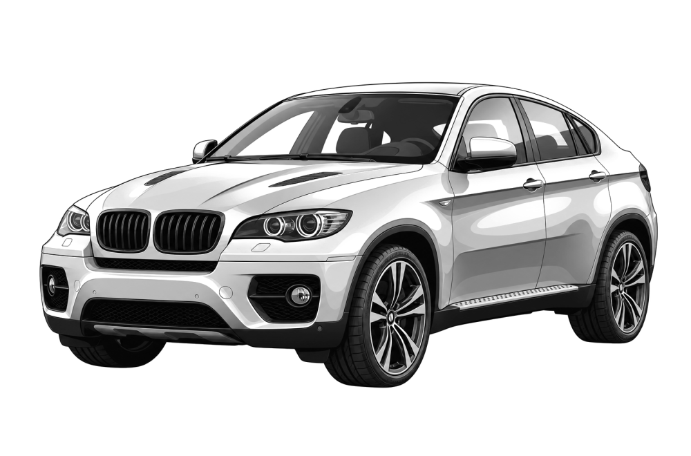 BMW X6 (E71-72) (2007 - 2014) 35d (286 HP / 210 kW) RaceChip