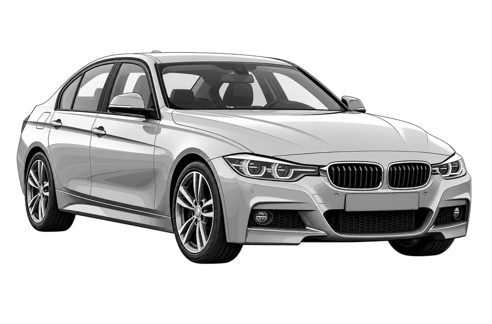 BMW 3 Series (F30-31/34) (2011 - 2019) 330e (252 HP / 185 kW) RaceChip