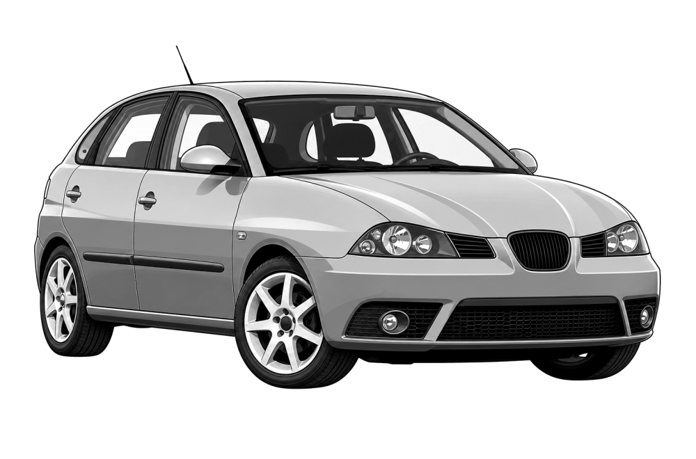 Seat Ibiza (6L) (2002 - 2009) 1.2 (60 HP / 44 kW) RaceChip