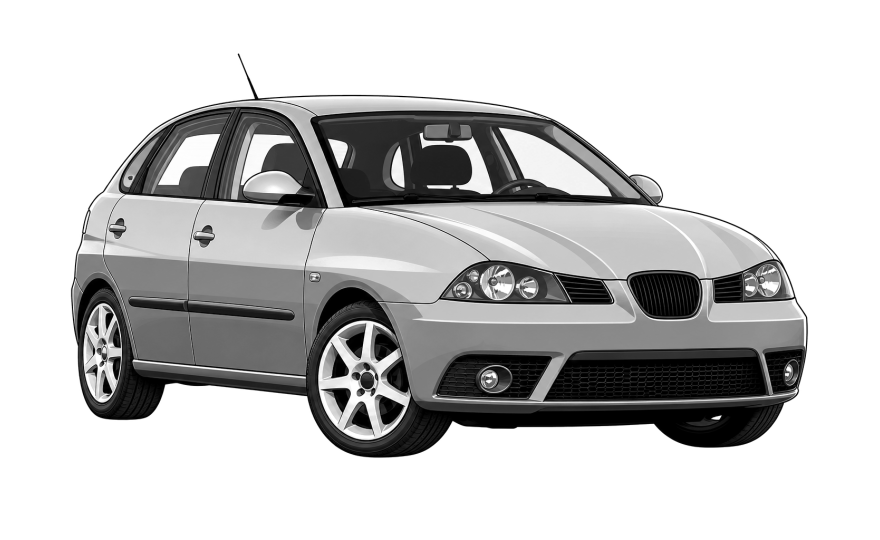 Seat Ibiza (6L) (2002 - 2009) Seat Ibiza (6L) 1.4 TDI