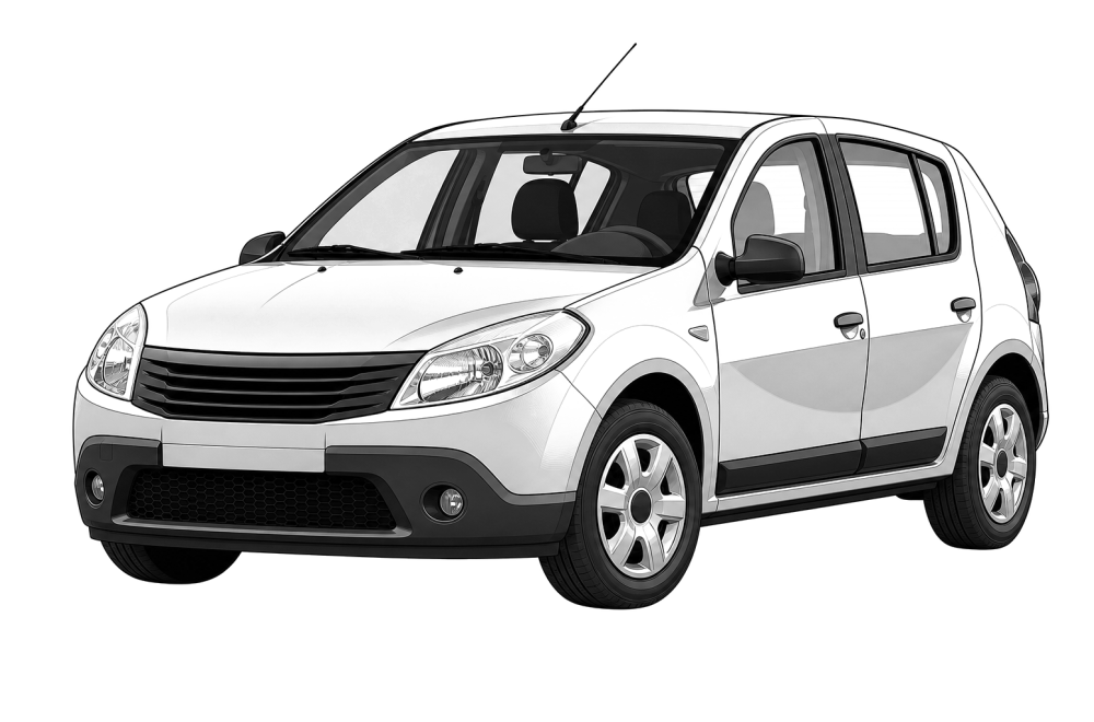 Dacia Sandero (I) (2008 - 2012) 1.5 dCi (75 HP / 55 kW) RaceChip