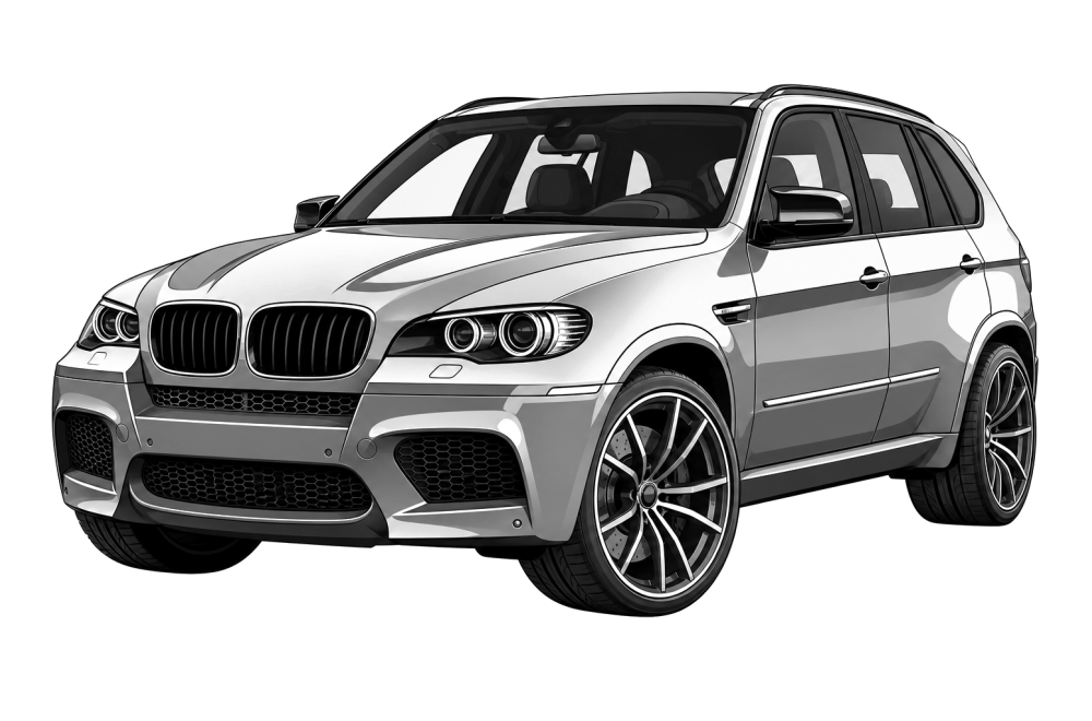 BMW X5 M (E70) (2009 - 2014) X5 M 4.4 (555 HP / 408 kW) RaceChip
