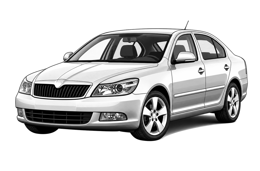 Skoda Octavia (1Z) (2004 - 2013) 1.4 (80 HP / 59 kW) RaceChip
