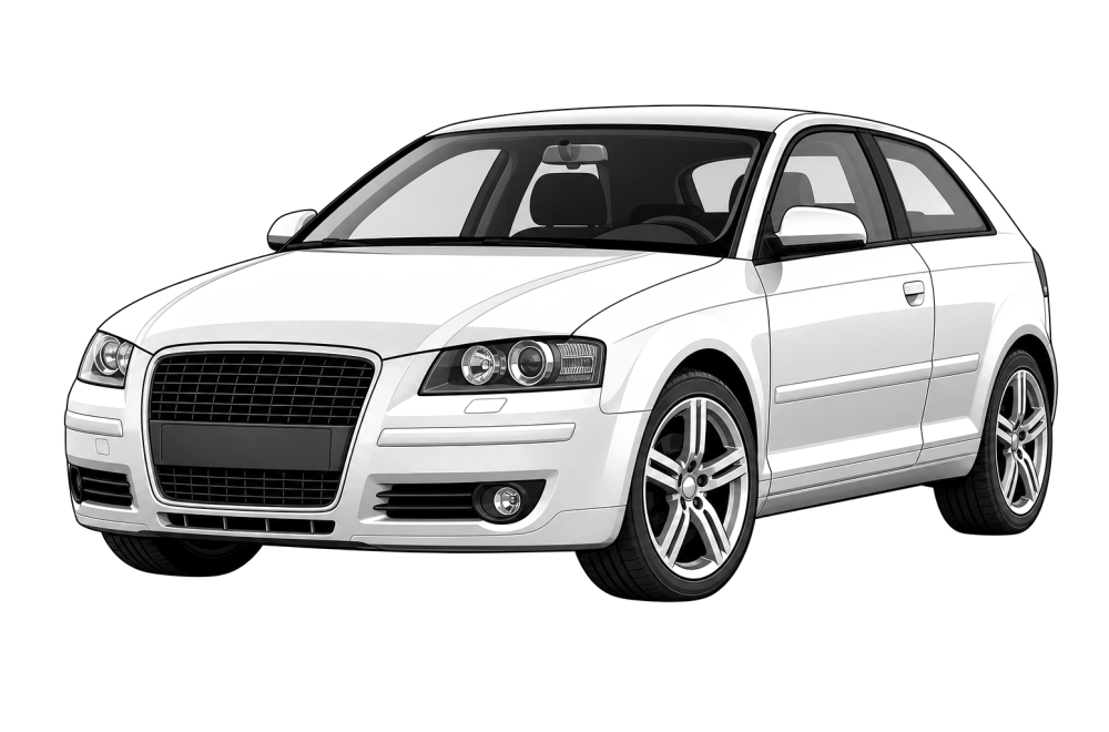 Audi A3 (8P) (2003 - 2012) 1.6 E-Power (102 HP / 75 kW) RaceChip