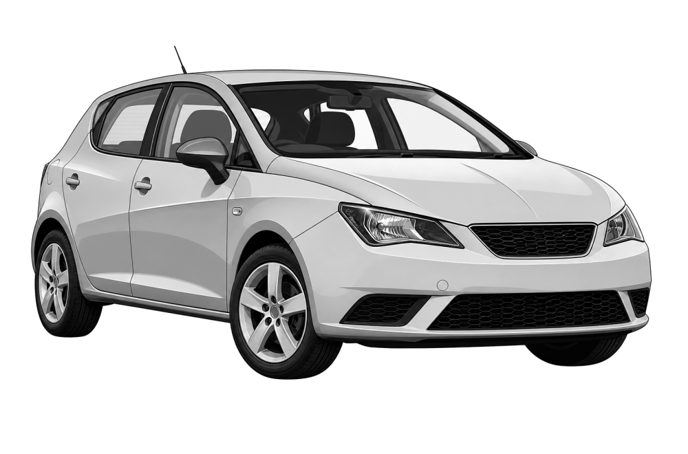 Seat Ibiza (6J) (2008 - 2015) 1.2 (60 HP / 44 kW) RaceChip
