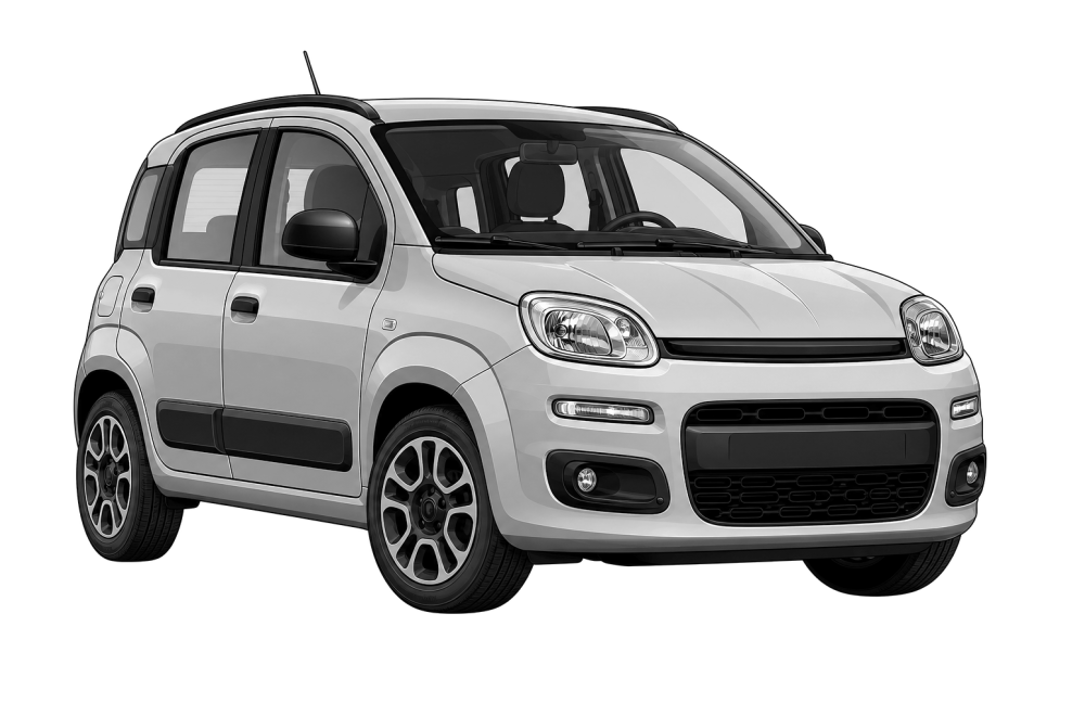 Fiat Panda (312, 319) (από 2012) 1.3 D MultiJet (80 HP / 59 kW) RaceChip