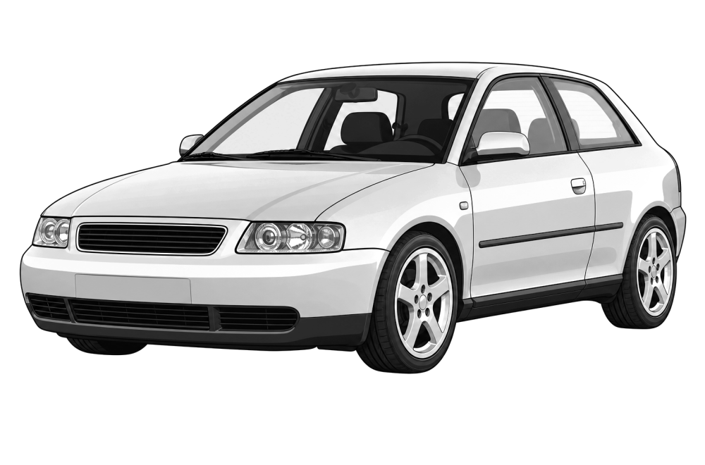 Audi A3 (8L) (1996 - 2003) S3 1.8 T (210 HP / 154 kW) RaceChip