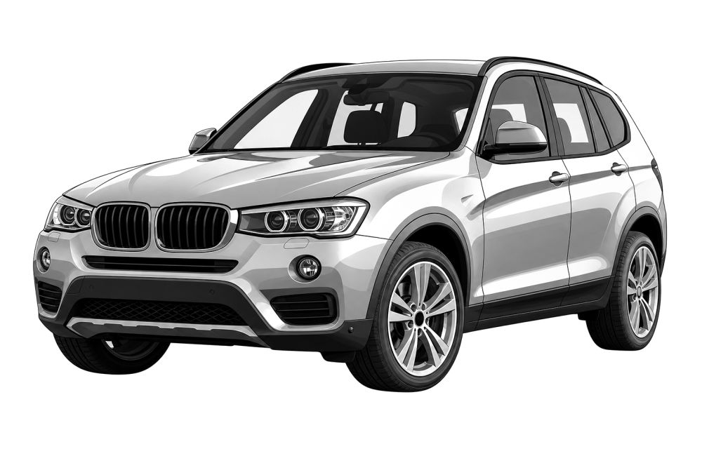 BMW X3 (F25) (2010 - 2017) 18d (143 HP / 105 kW) RaceChip