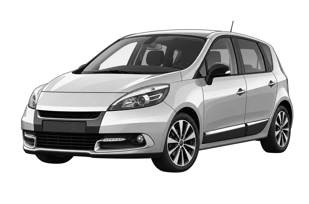 Renault Scénic III (JZ) (2009 - 2016) 1.6 16V Bifuel (110 HP / 81 kW) RaceChip