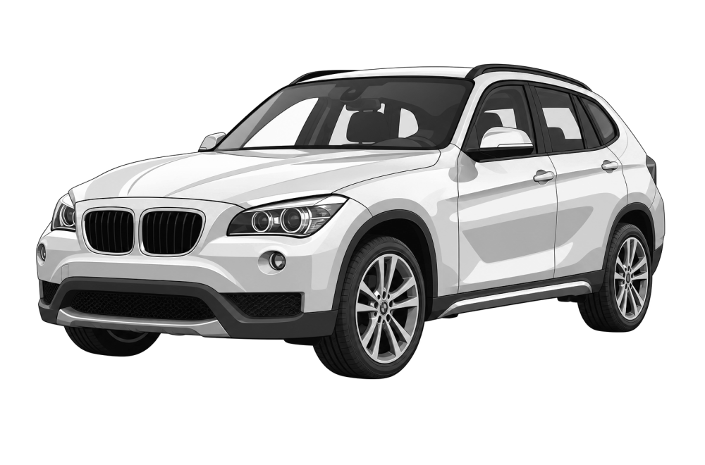 BMW X1 (E84) (2009 - 2015) 16d (116 HP / 85 kW) RaceChip