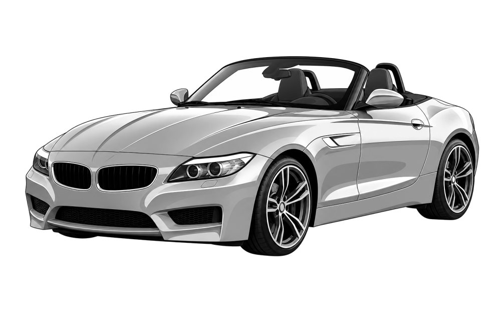 BMW Z4 (E89) (2009 - 2018) 23i (204 HP / 150 kW) RaceChip