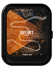 RaceChip XLR5 Controller